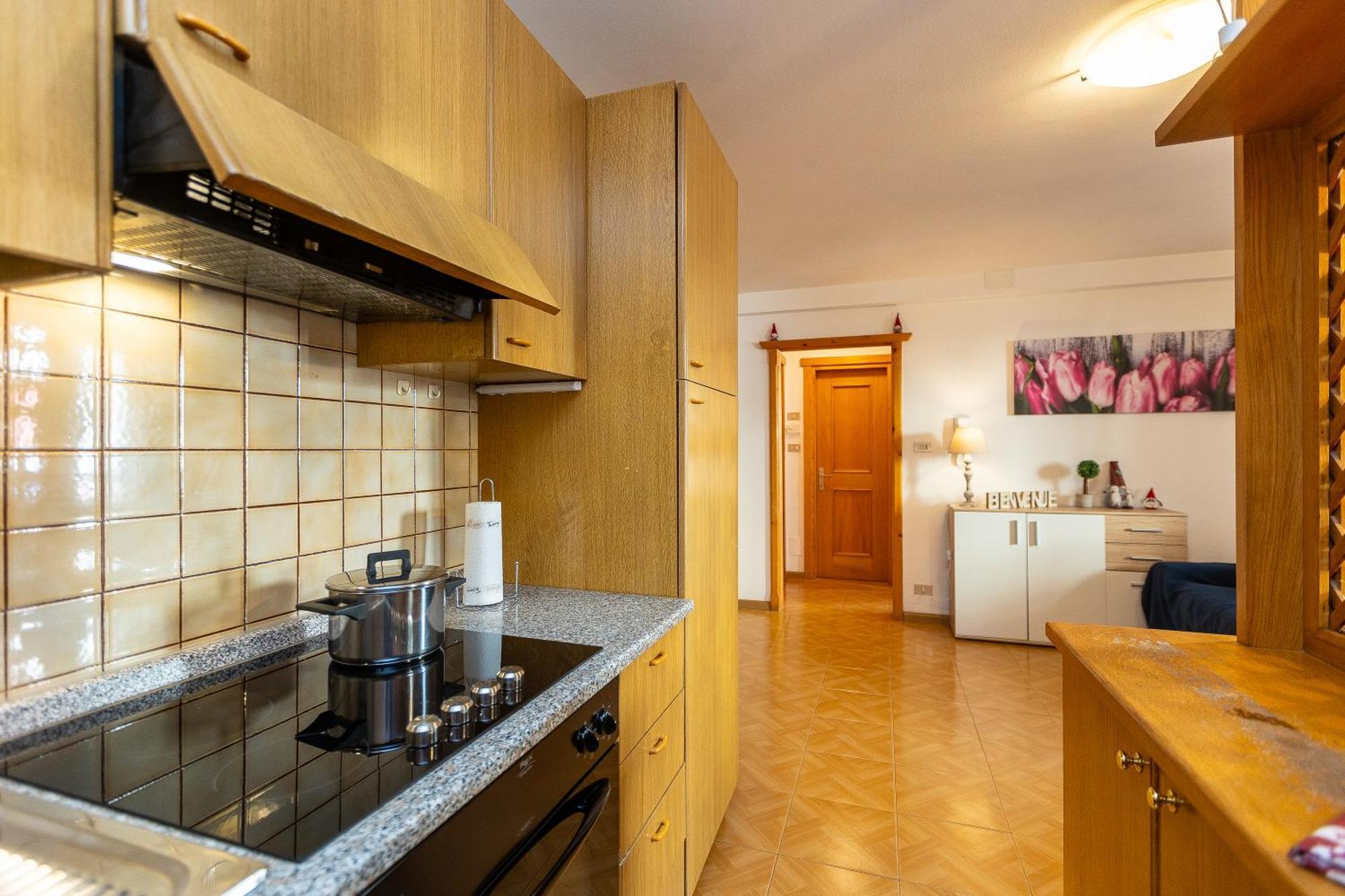 Ciasa De Vich Apartman Vigo di Fassa Kültér fotó